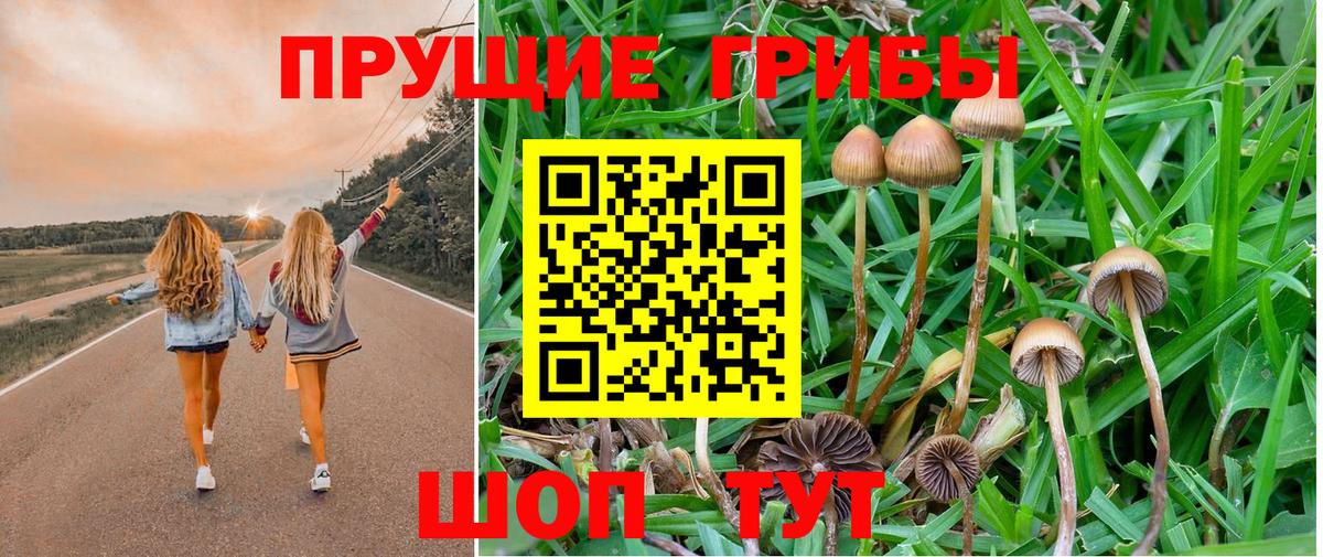 Галлюциногенные грибы мухоморы Осинники