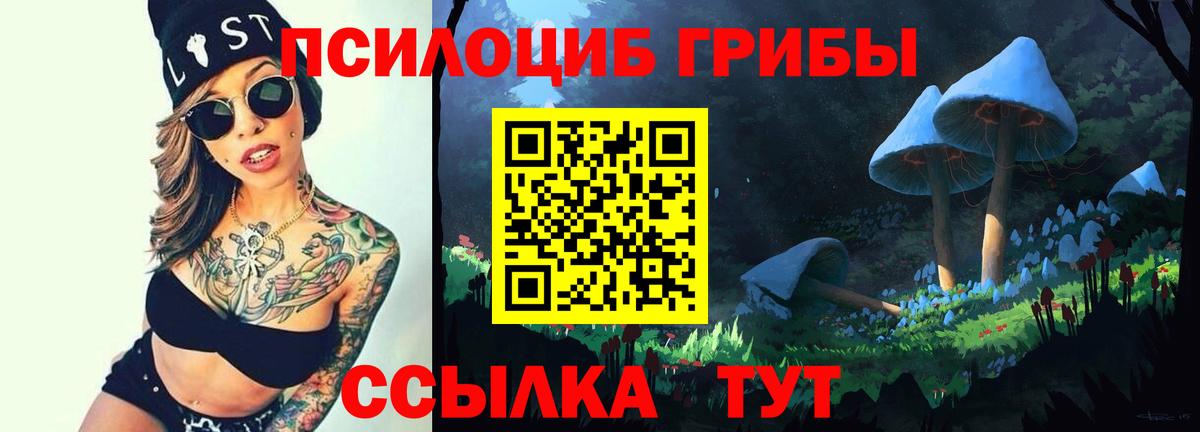 Галлюциногенные грибы Psilocybe  Вход с VPN  Осинники 
